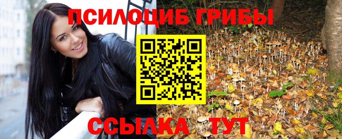 Губкин  Псилоцибиновые грибы мухоморы  Вход с VPN 